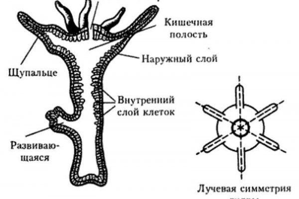 Kra32.gl