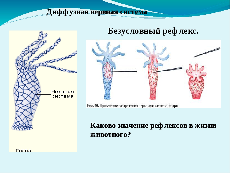 Кракен войти